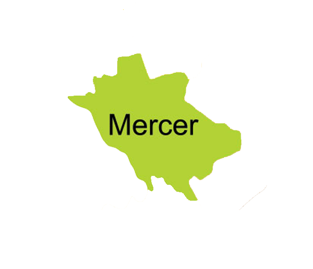 mercer